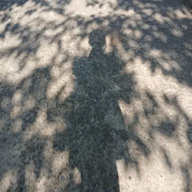 Profile image of 시아
