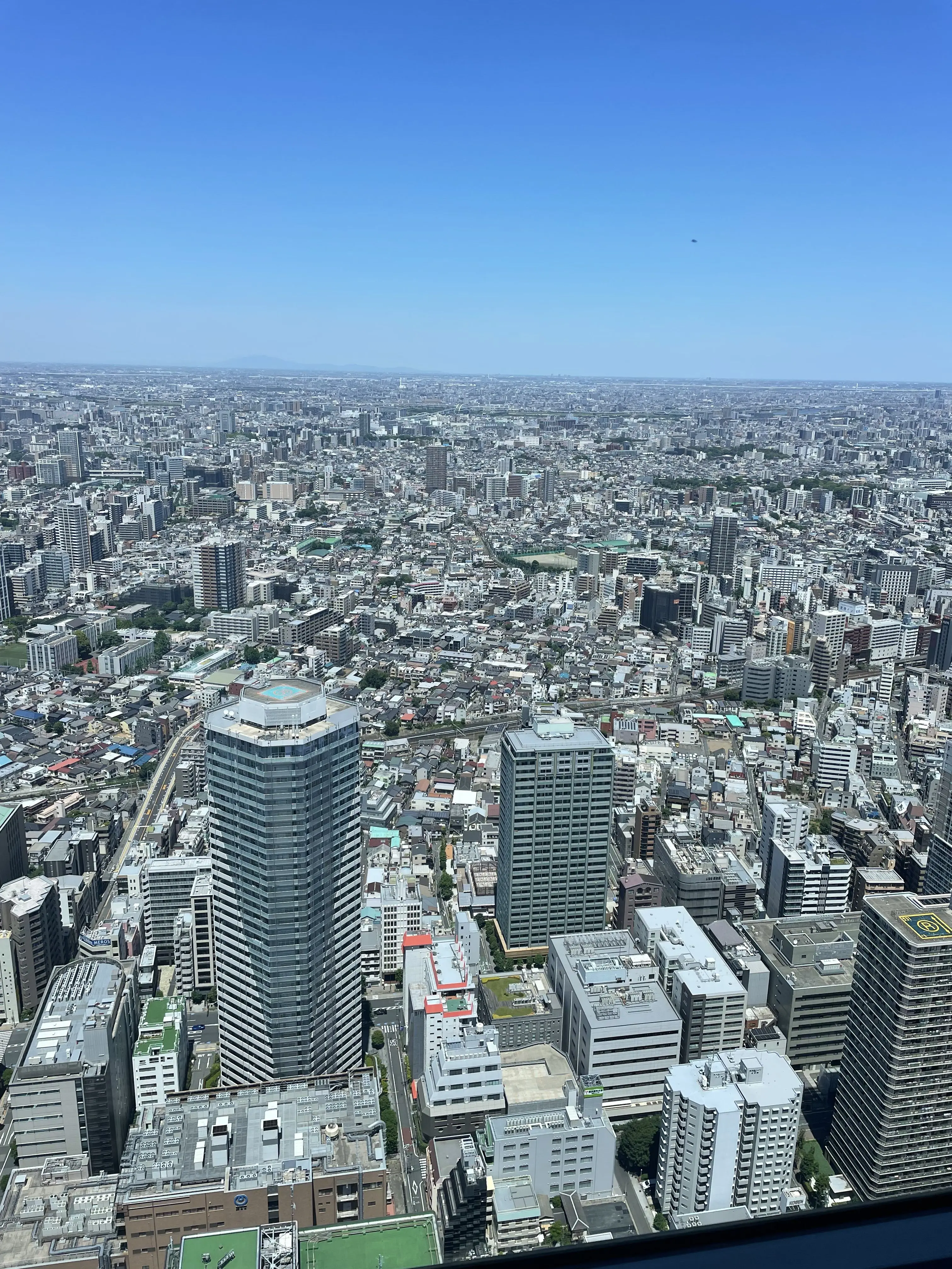 WindyDoxle6335의 みそら