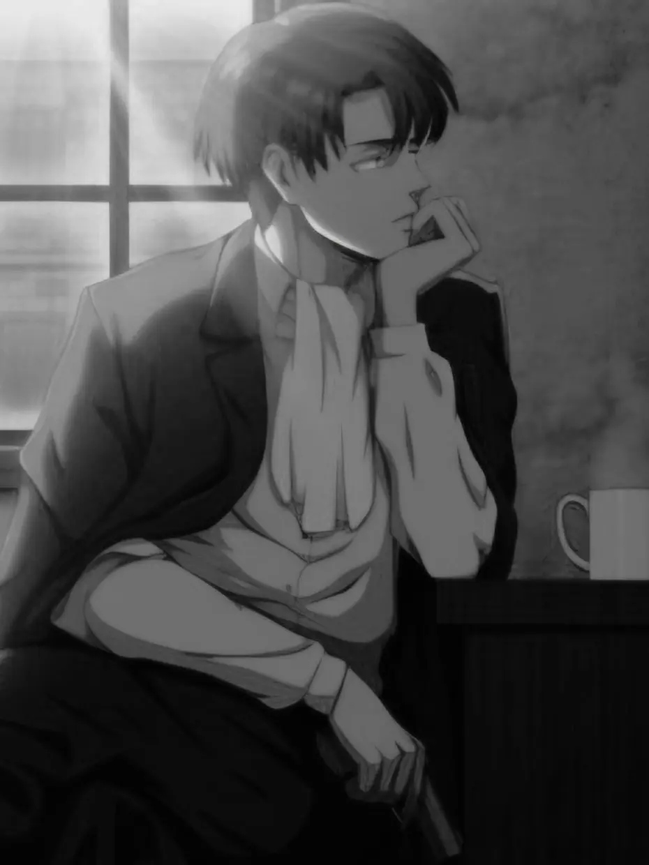 slow_vibe의 Levi Ackerman