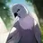 鳩太郎