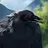 黒丸