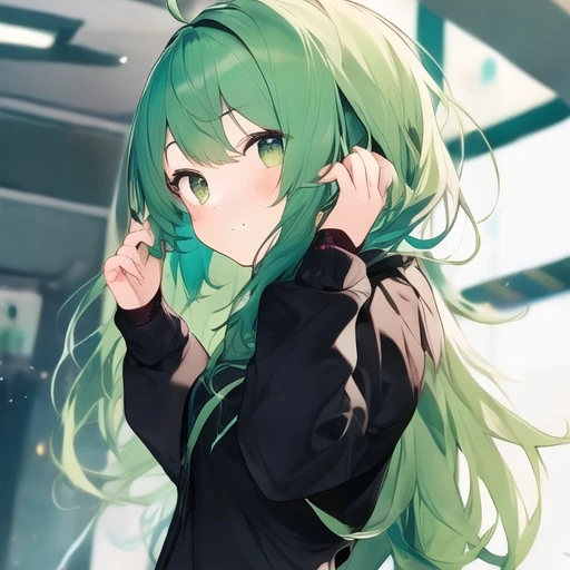 새싹