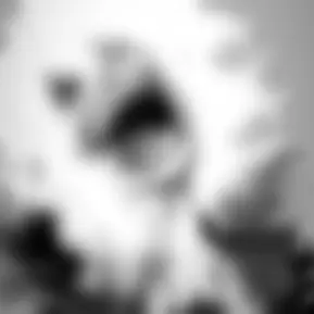 Profile image of ㅅㄱㄹㅋ ㅌㅁㄹ
