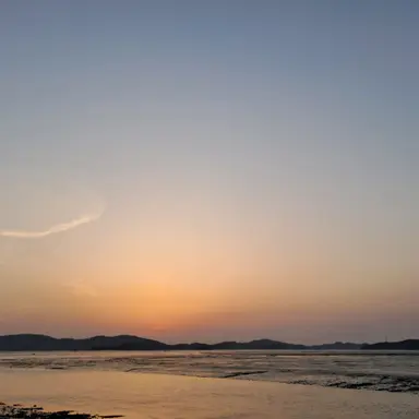 Profile image of 공룡