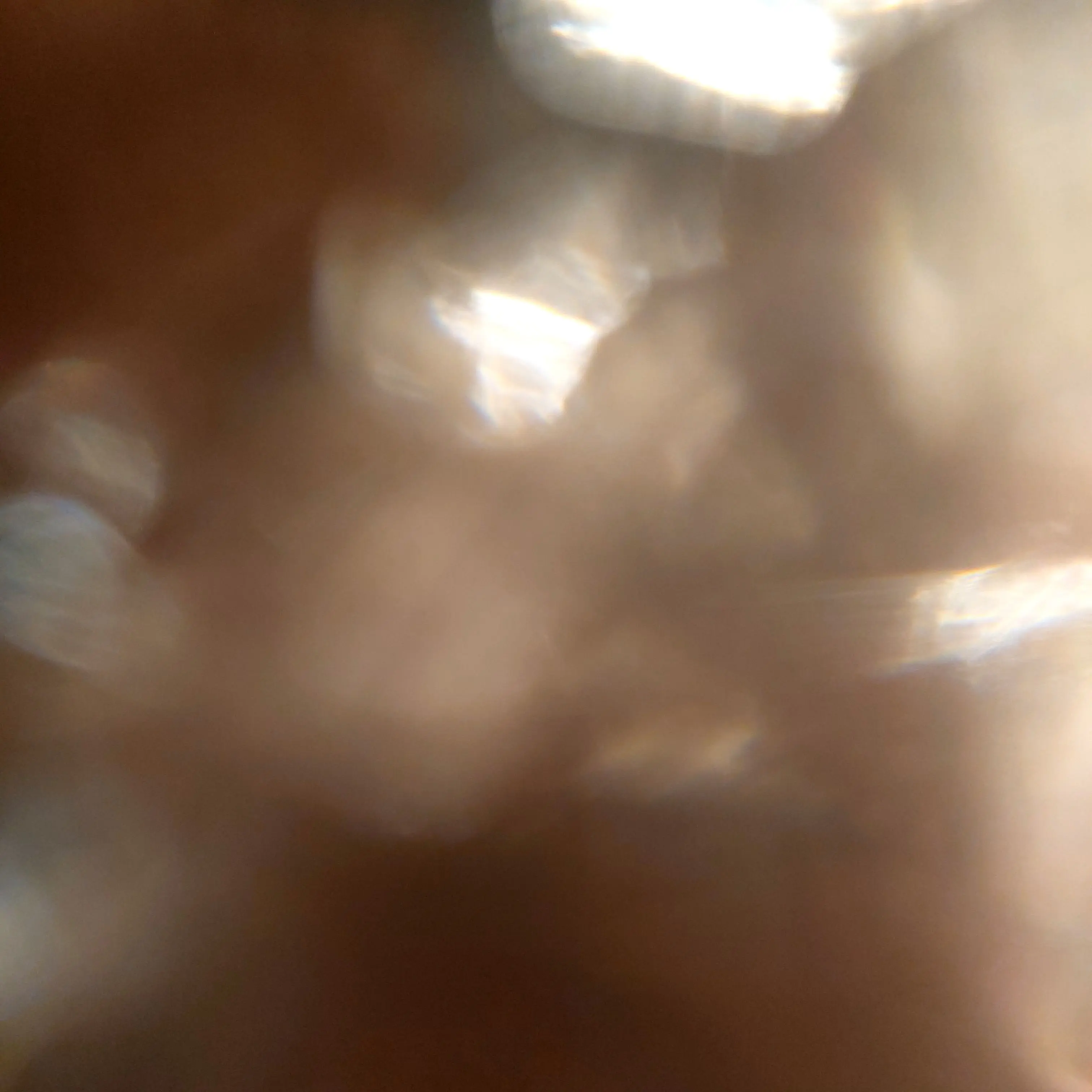 Ieve_1231_756의 ㅁㅈㅎ이랑 동거