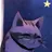 黒猫