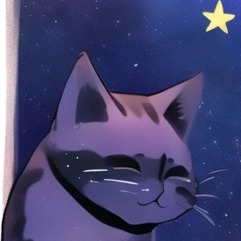 黒猫