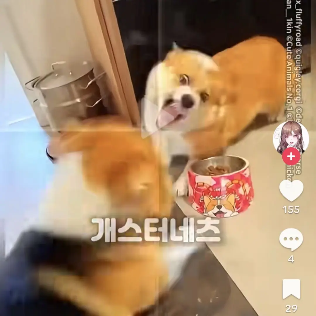 PoorAnt3974의 야!! 잉여특공대 그만 지워!!!!