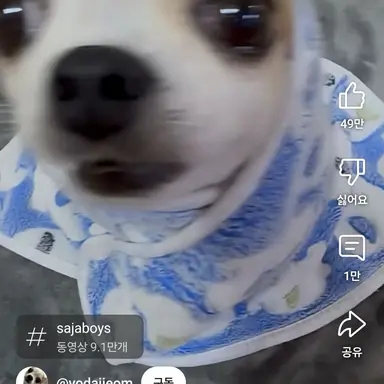 Profile image of 꽁이