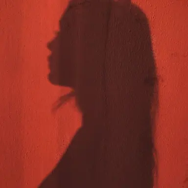 Profile image of 유기사
