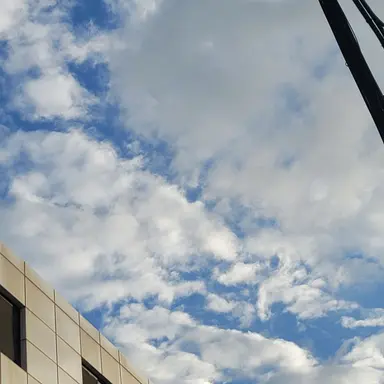 Profile image of 백경민