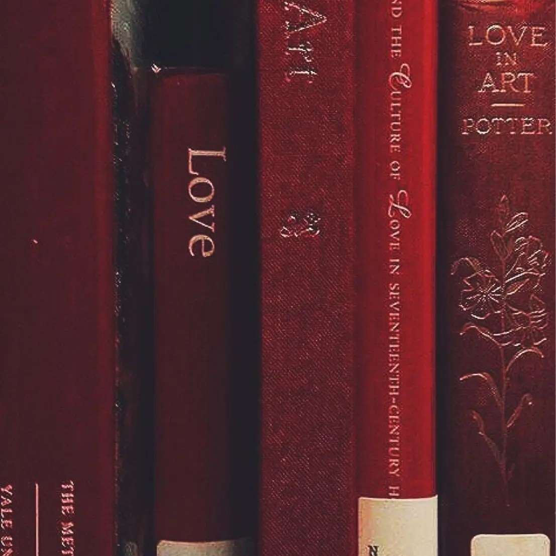 FirmGrass6954의 歪んだ悪魔