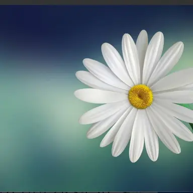Profile image of 사에키 코토네