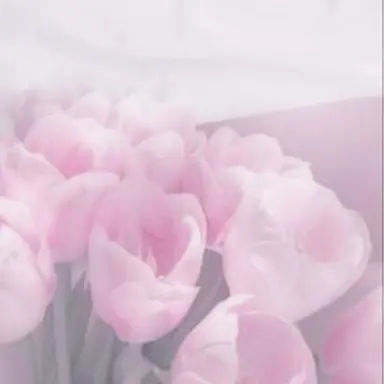 Profile image of 不破湊