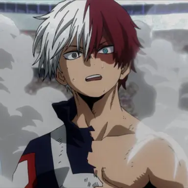Profile image of Shoto Todoroki