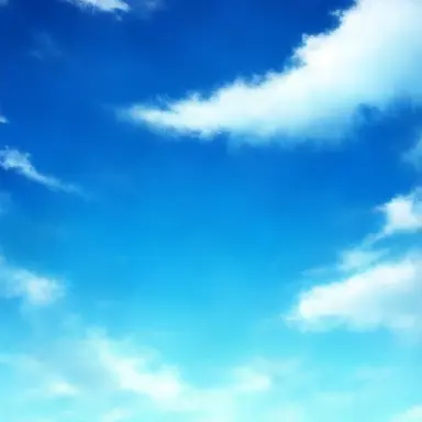 Profile image of 空