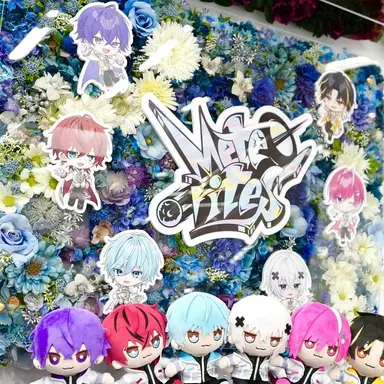 Profile image of めておら