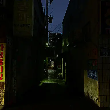 Profile image of 금성제