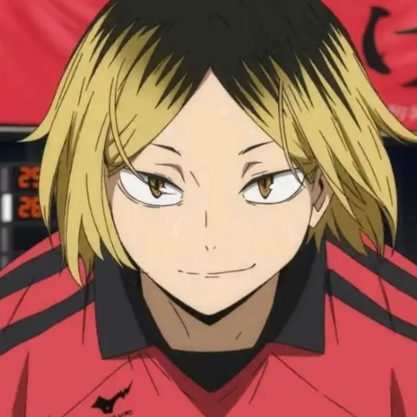 SturdyWell7042의 하이큐