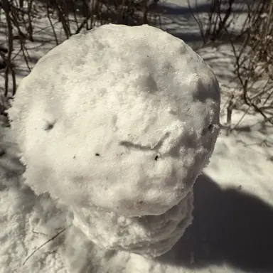 Profile image of 김여우