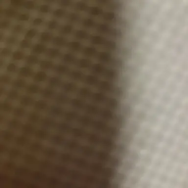 Profile image of YJ