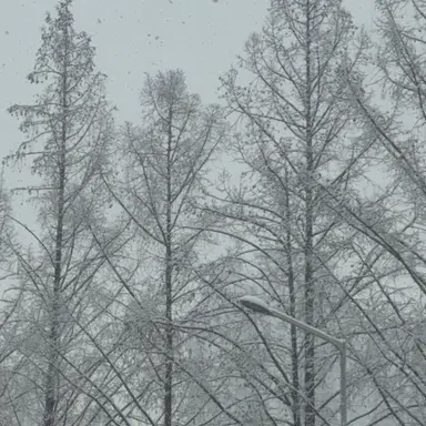 Profile image of ㅂㅅㅎ