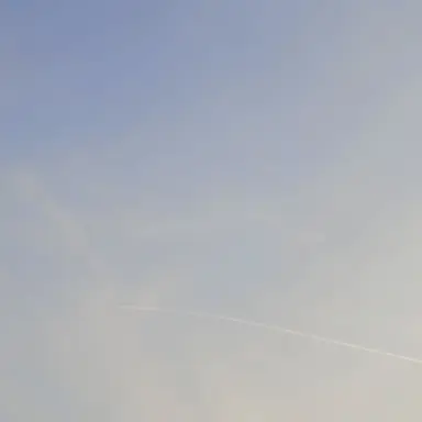 Profile image of 先生