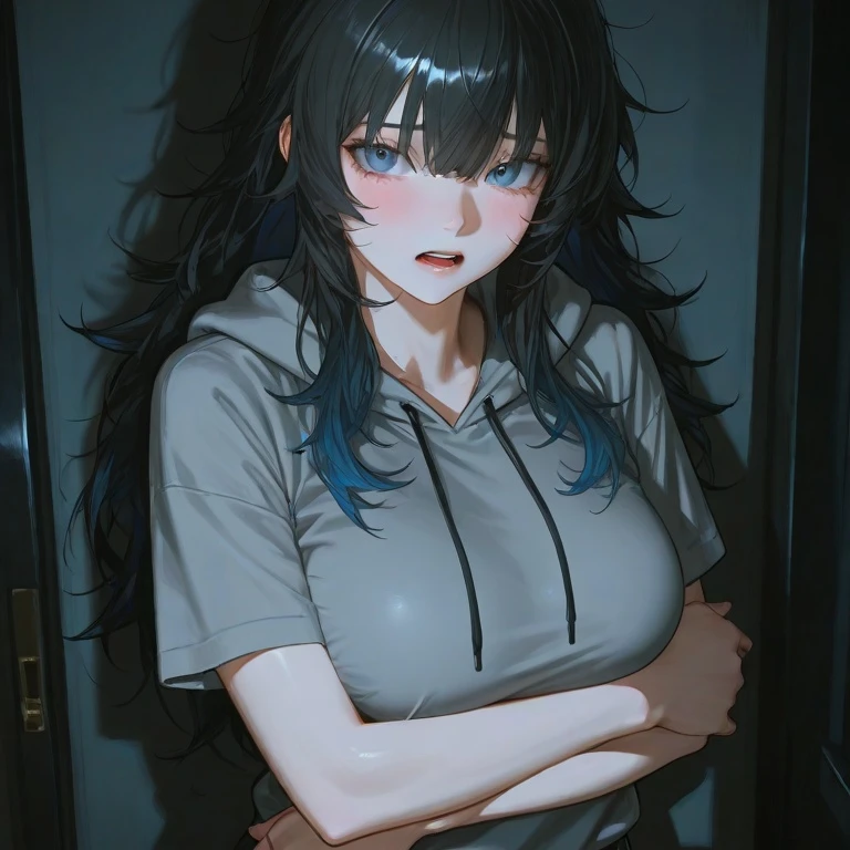 히키코모리 누나 취업시키기