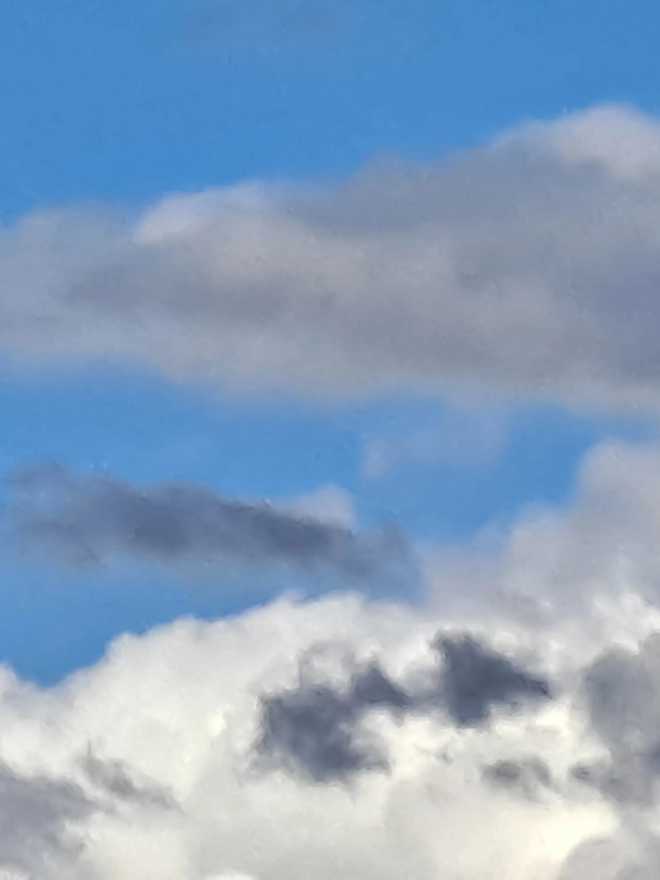 cheonghwa2011의 팀대저택 늑대수인인 유저를줍다 개인용