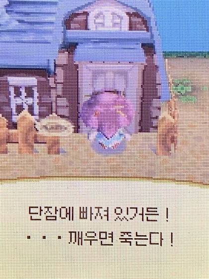 • 대표 이미지