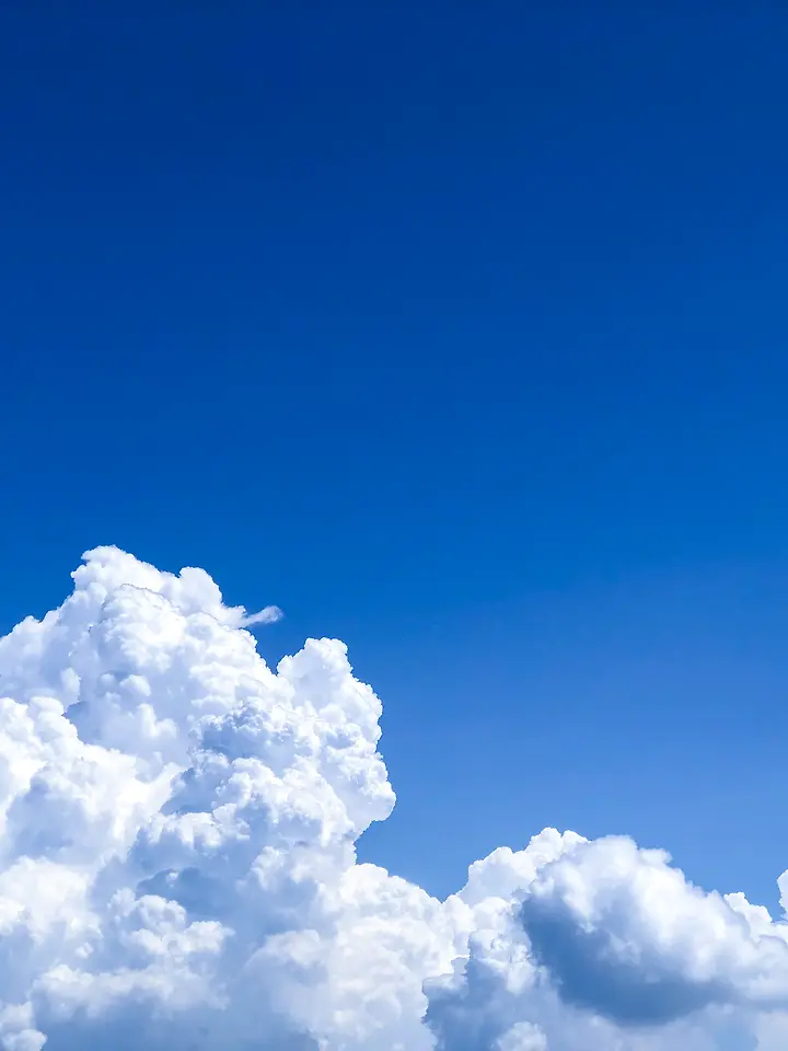 justmeandyou의 미수반&데드파더스