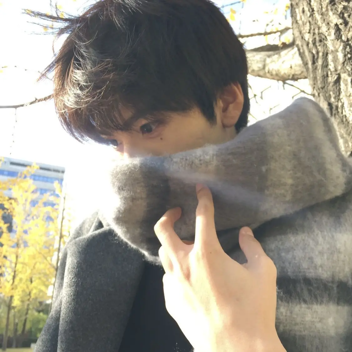 PaddedDesk1498의 A Quiet Boy