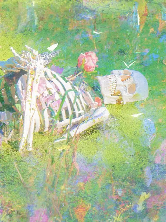 sleepground210의 픽셀리×악의 하인
