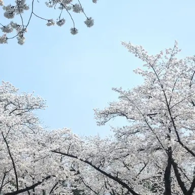 Profile image of 박지훈