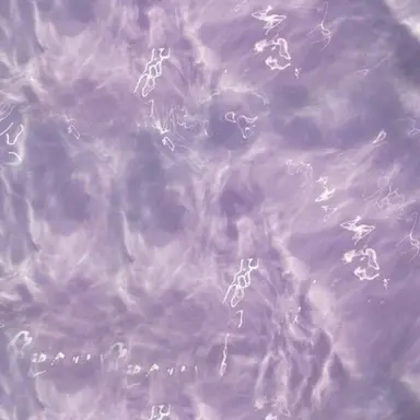 Profile image of 수현