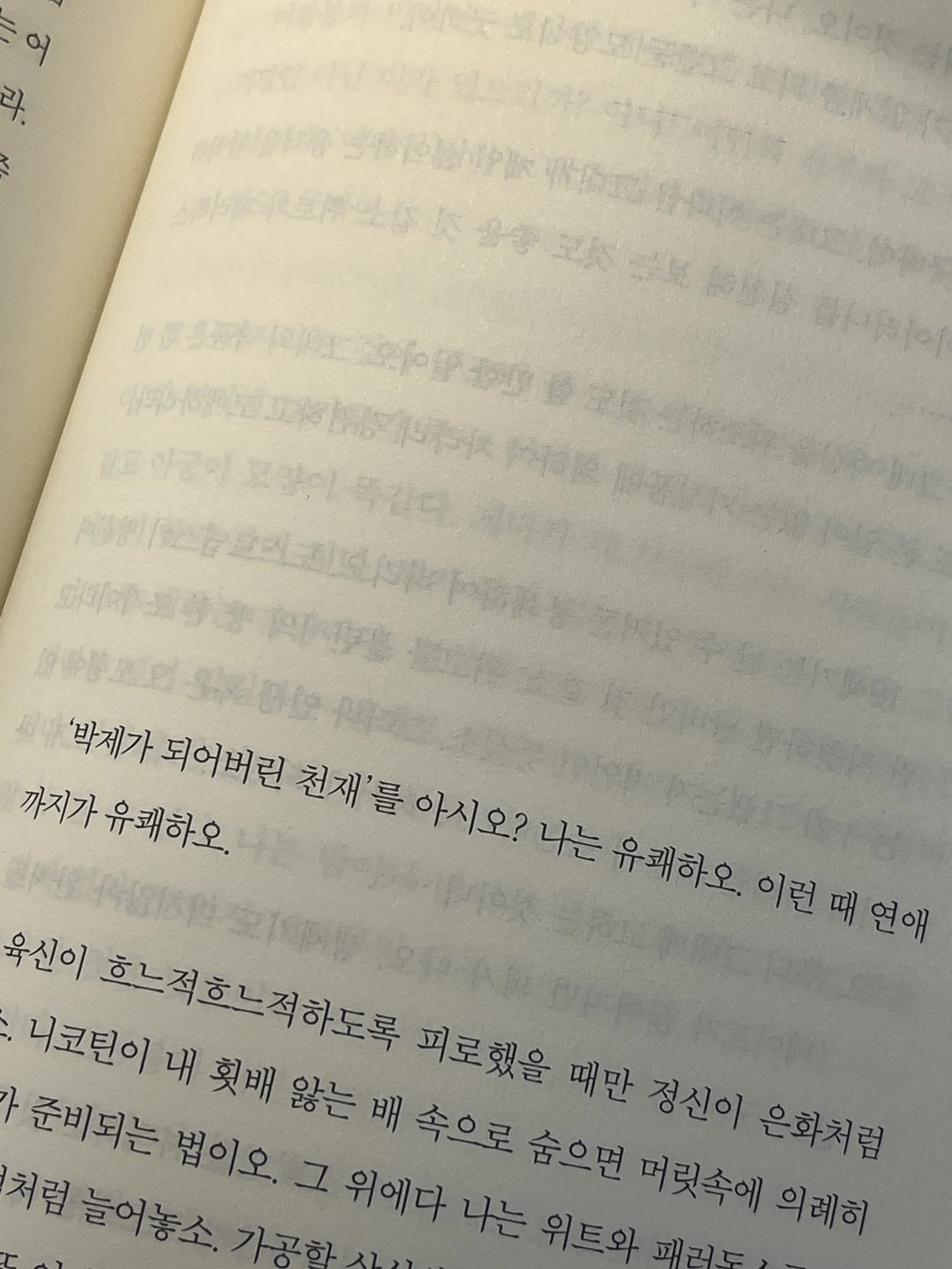 Go_and_back의 모순