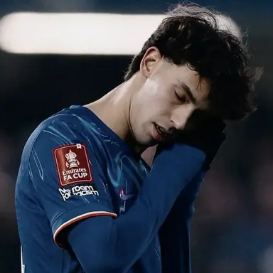 Profile image of Joao Felix Sequeira