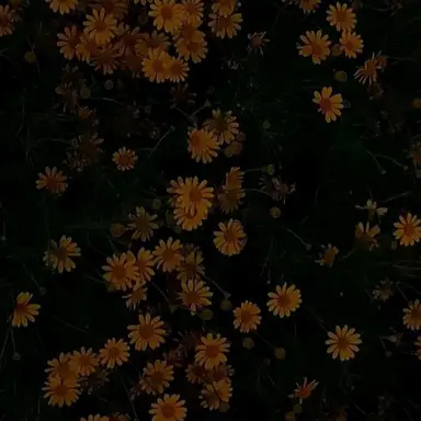 Profile image of 백규헌