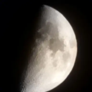 Profile image of 하네