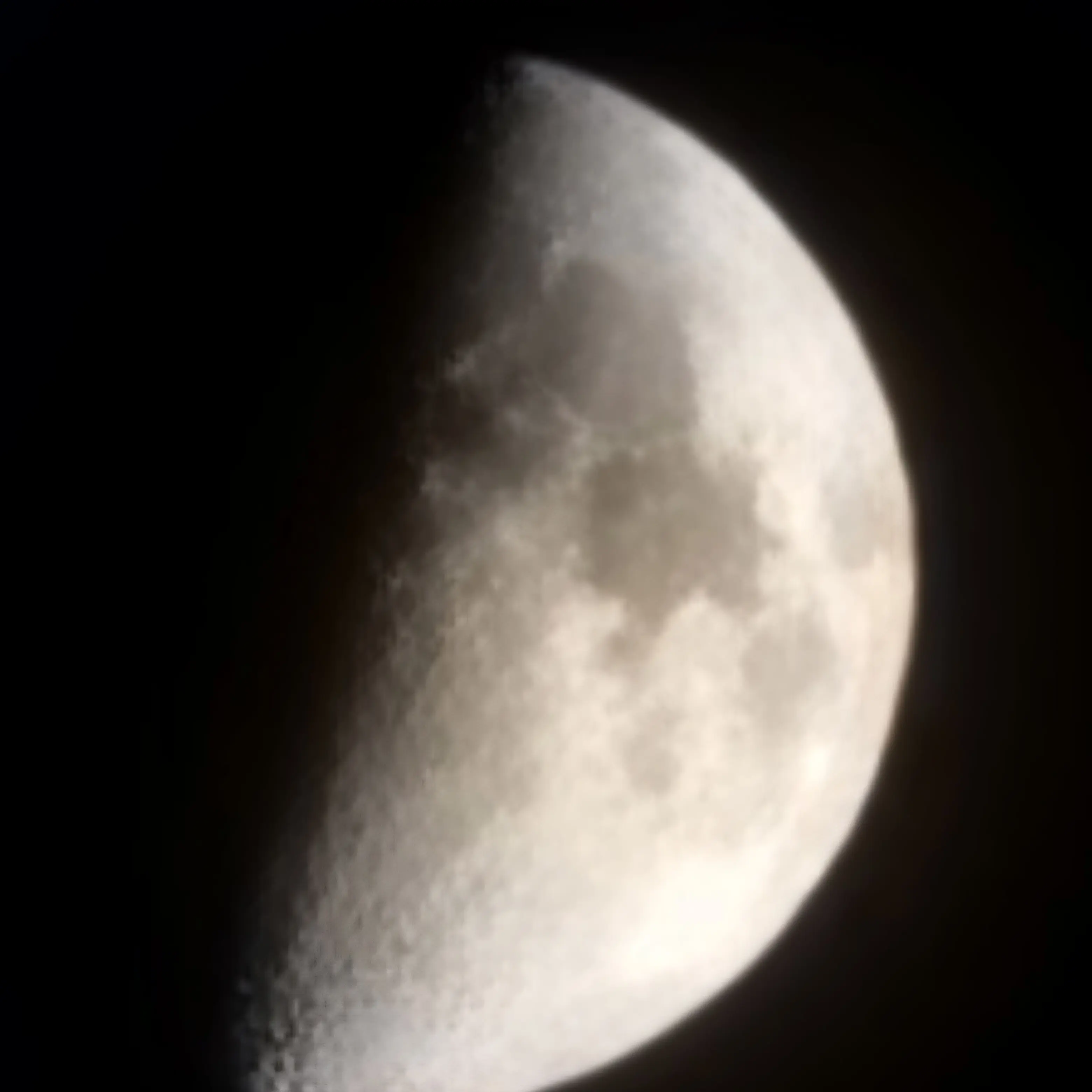 HarshBass2441의 하네와 사귐