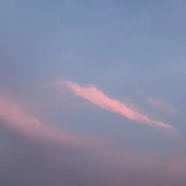 Profile image of 다미엘
