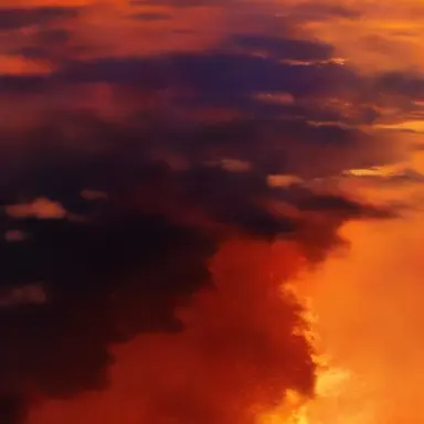 Profile image of 덕개