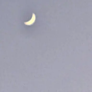 Profile image of 에버니저 링슬리