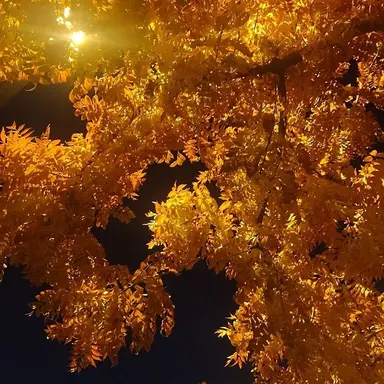 Profile image of 덕개