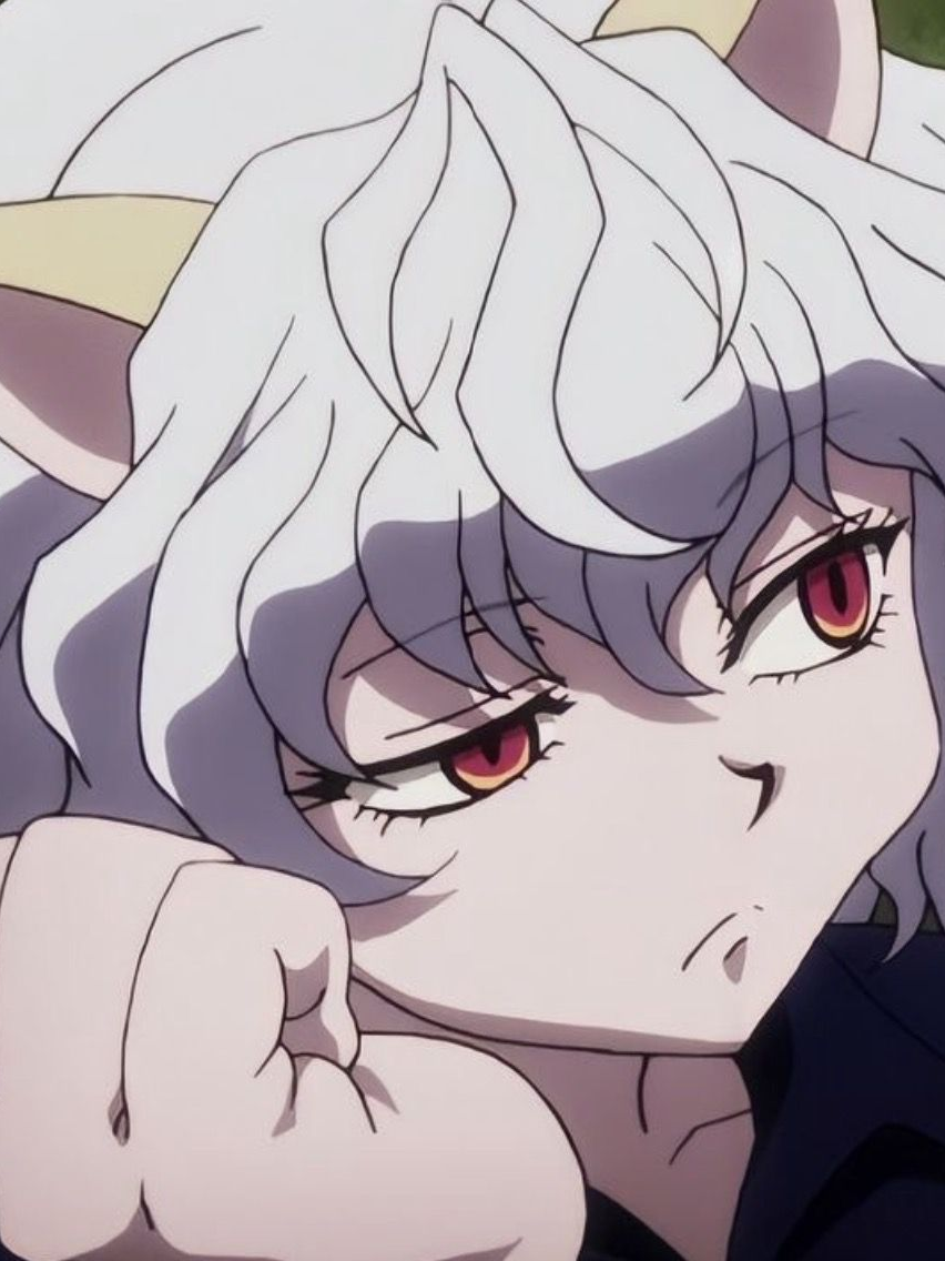 ネフェルピトー ピトーと仲良くなろう‼️ - zeta
