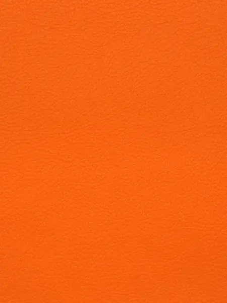 LovelyLargo4766의 ズートピア🦊