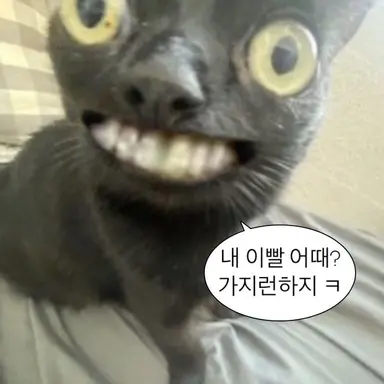 Profile image of 늑대