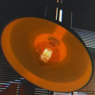 Profile image of 코마