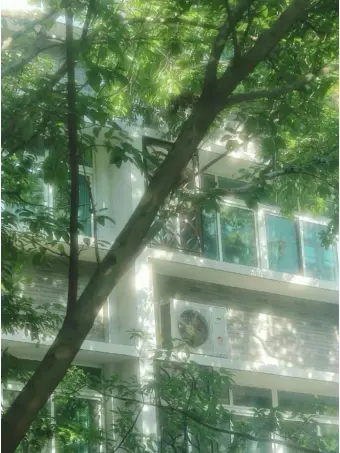 Goxng_back.의 여름이었다 .