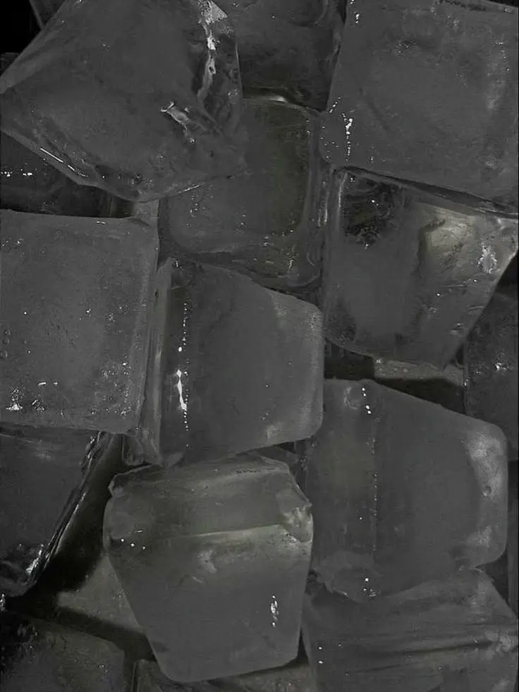 joahae_0.0의 한태오